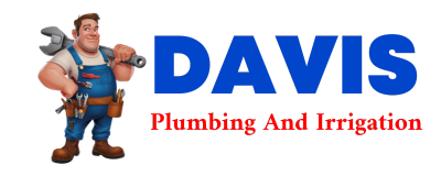 Trusted plumber in ARISPE